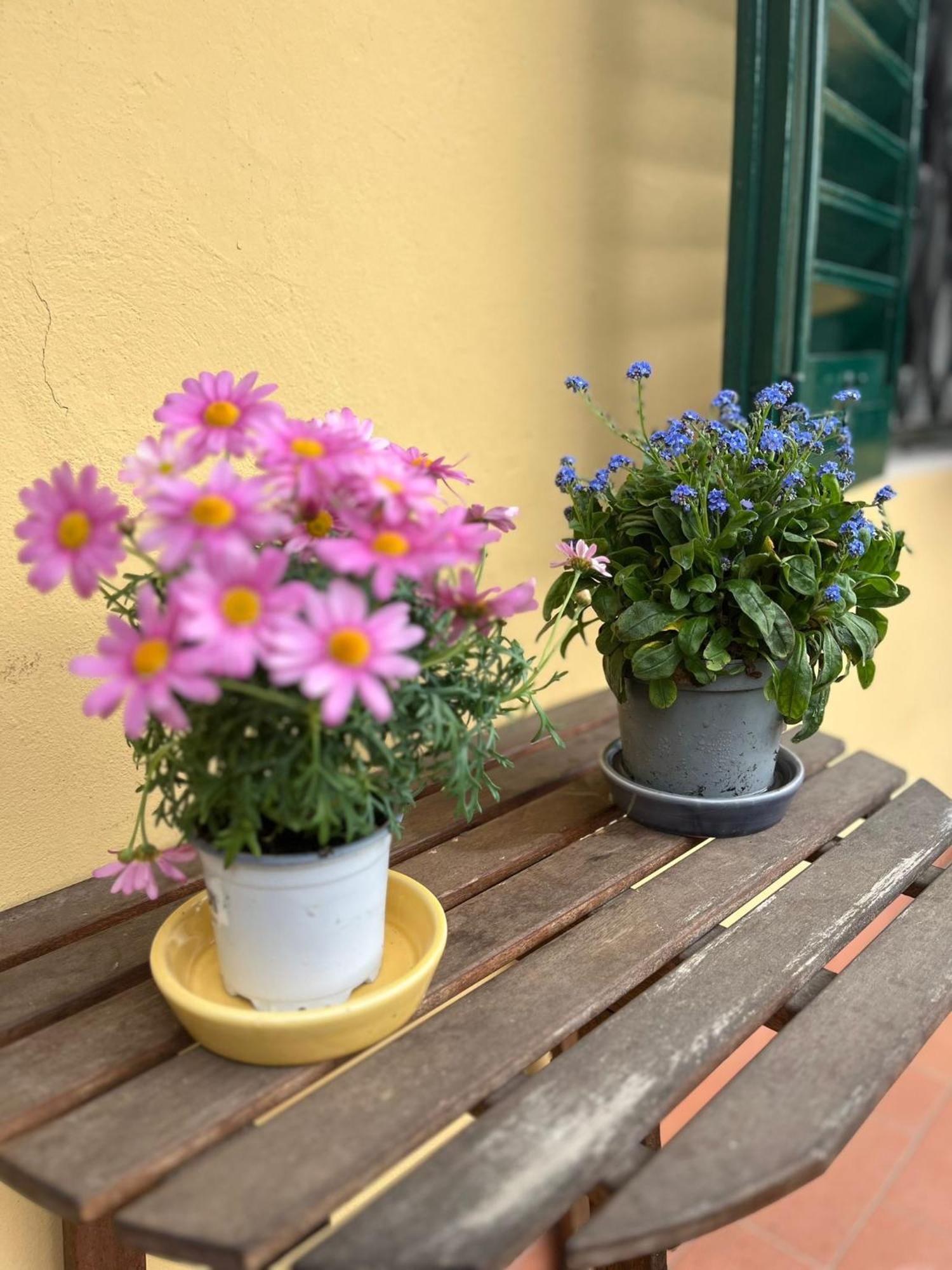 Hotel Albero Mago Florencja Zewnętrze zdjęcie