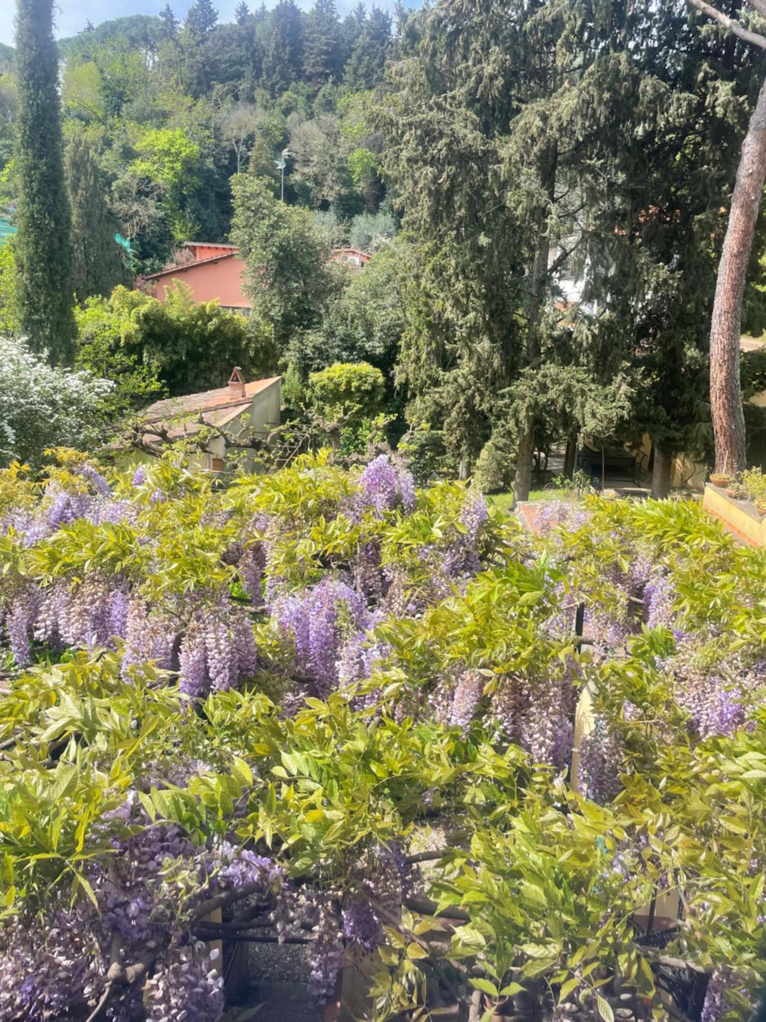 Hotel Albero Mago Florencja Zewnętrze zdjęcie